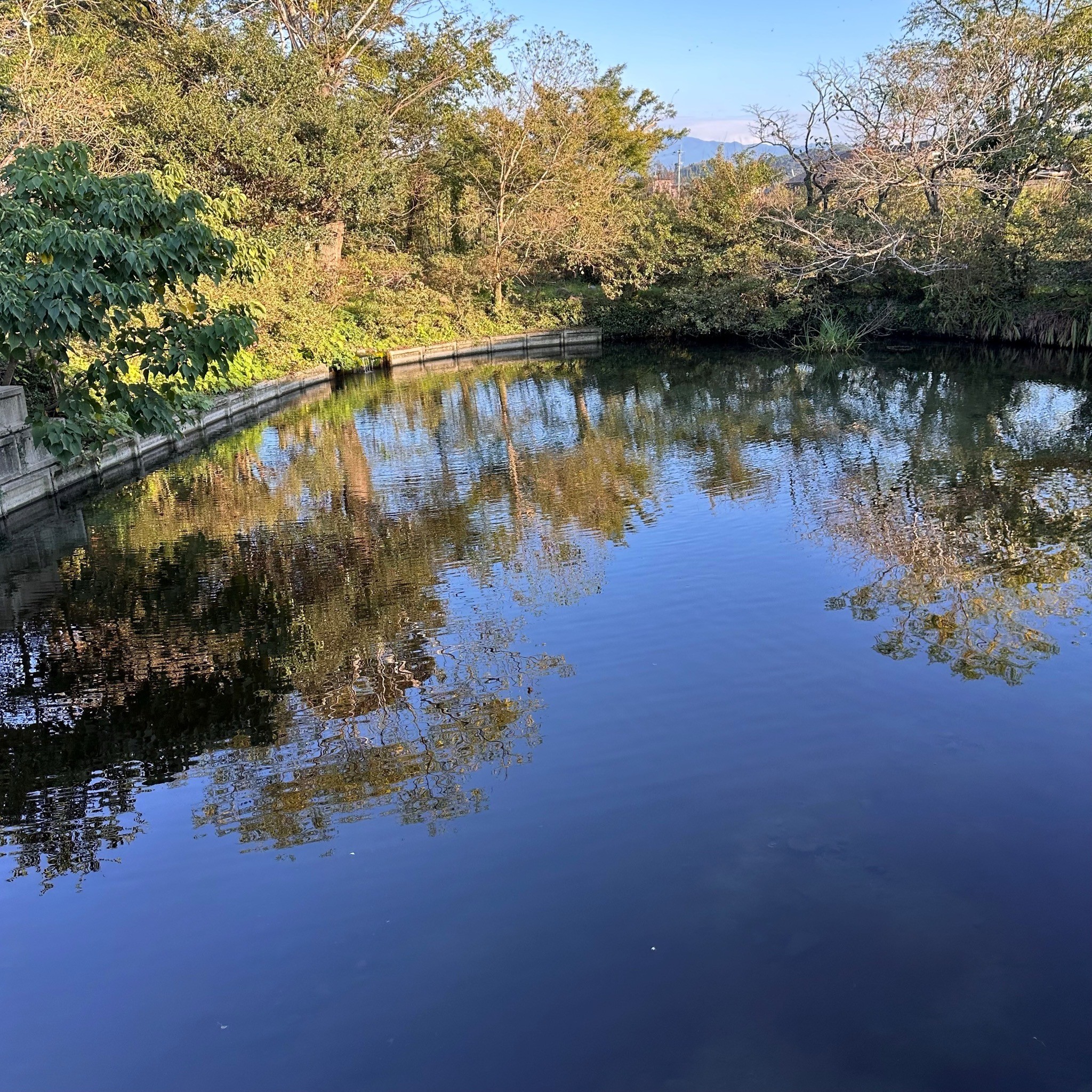 人吉温泉しらさぎ荘　湧水池　朝の光と名水の庭