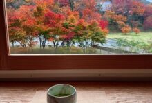 漲りと感謝 ｜人吉温泉しらさぎ荘 女将の徒然日記