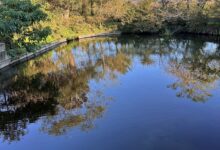 某YouTube番組の撮影がありました