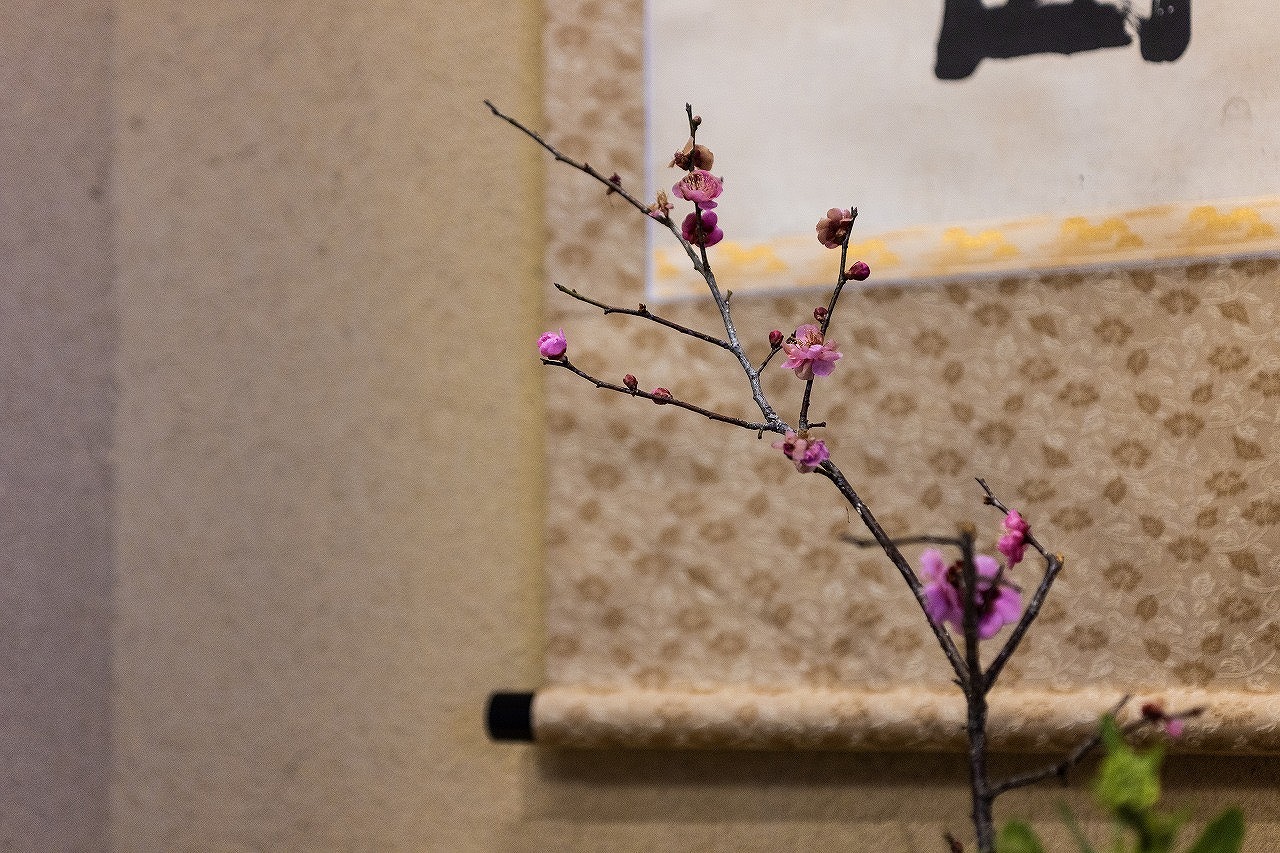 人吉温泉しらさぎ荘の館内に飾られた梅の花。ほころび始めた花が春の訪れを感じさせる一枚。