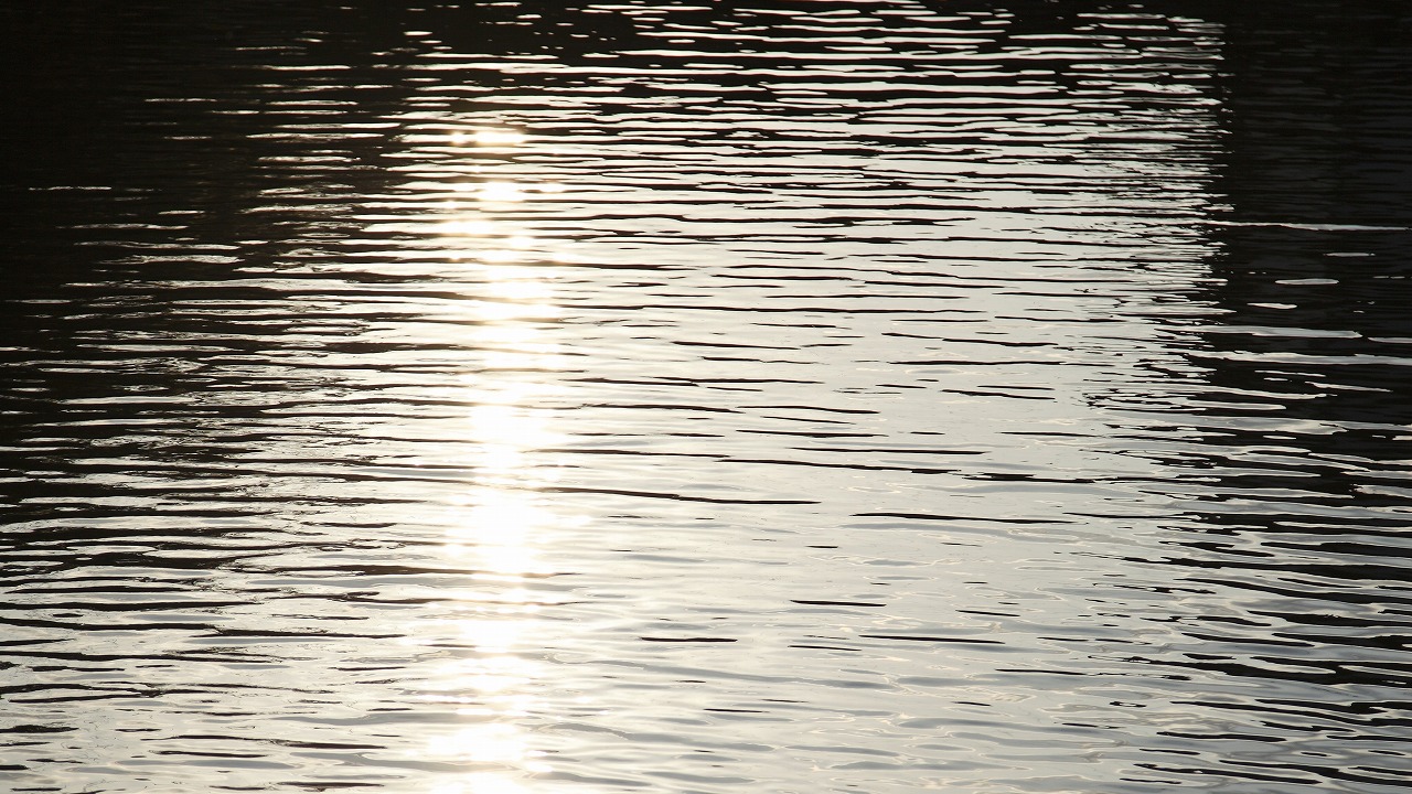 静かに揺れる水面に光が映り込む。しらさぎ荘に流れる時間の余韻。